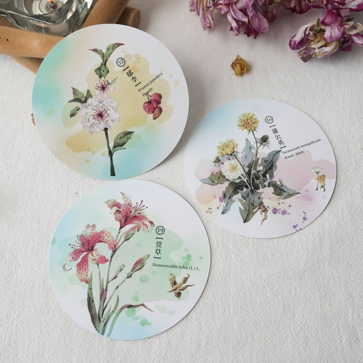 Herbal Inspiration Cards