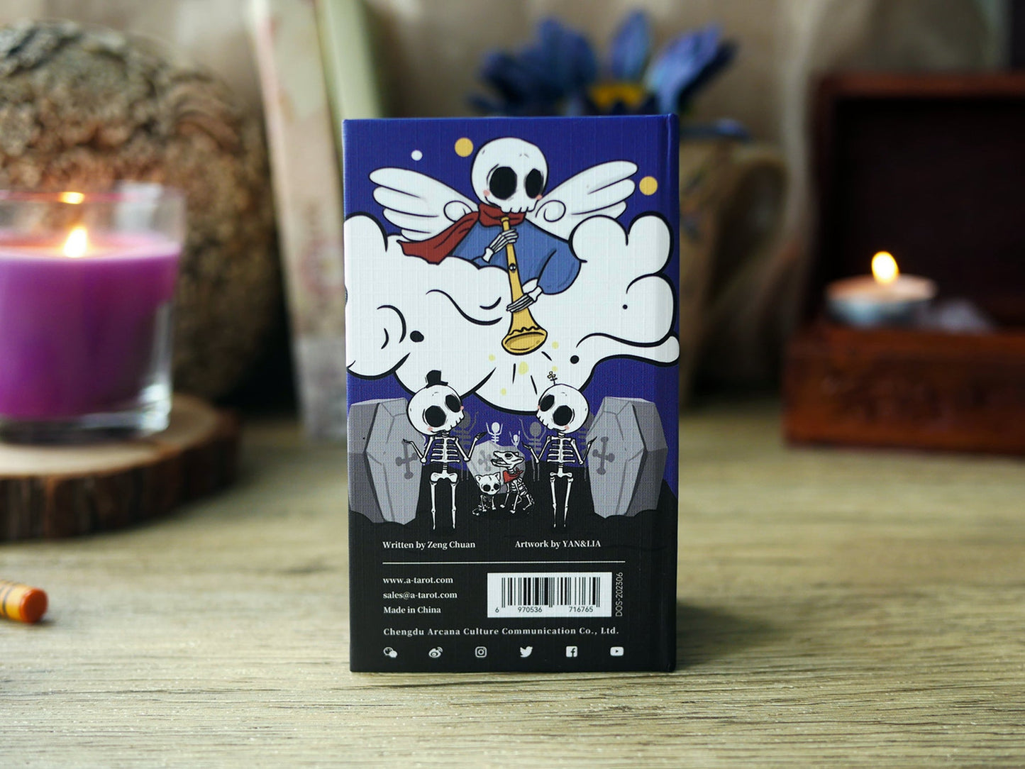 Diary of Skeleton Tarot