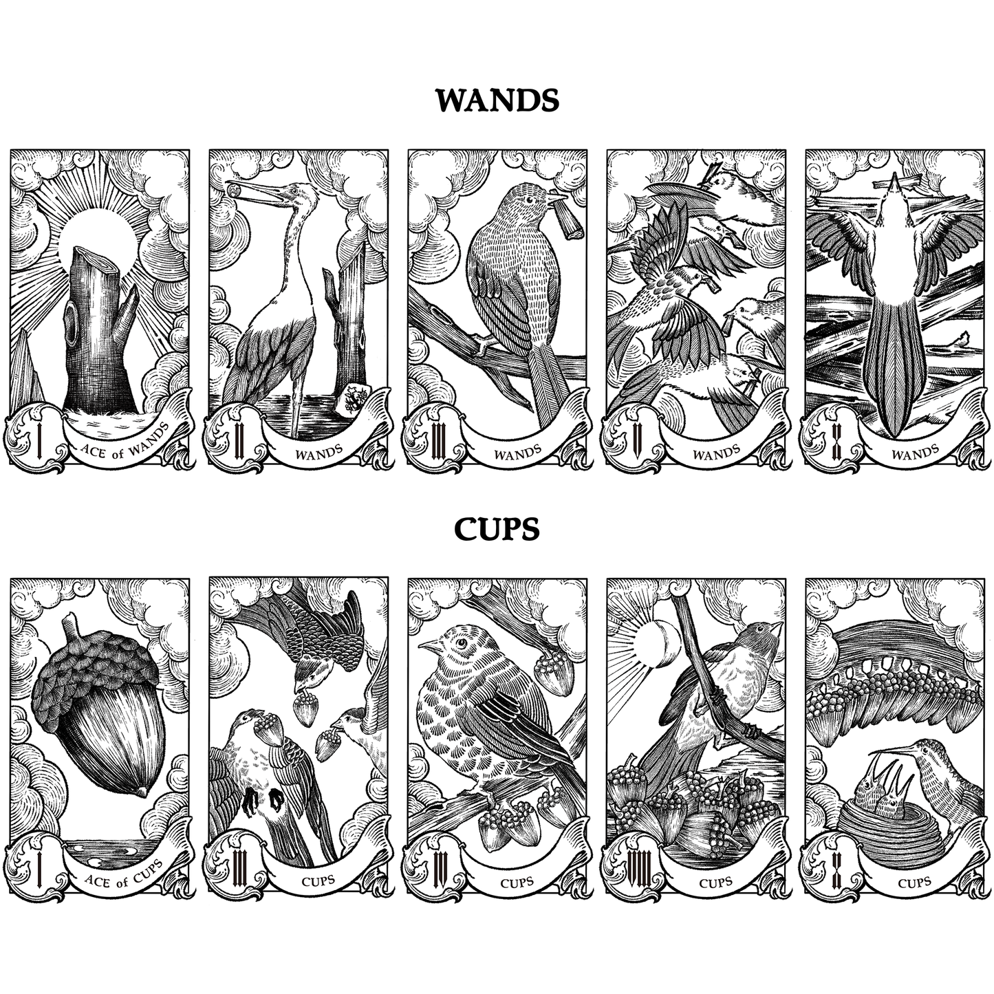 The Nature Tarot: A Winged Tribute to the Rider-Waite
