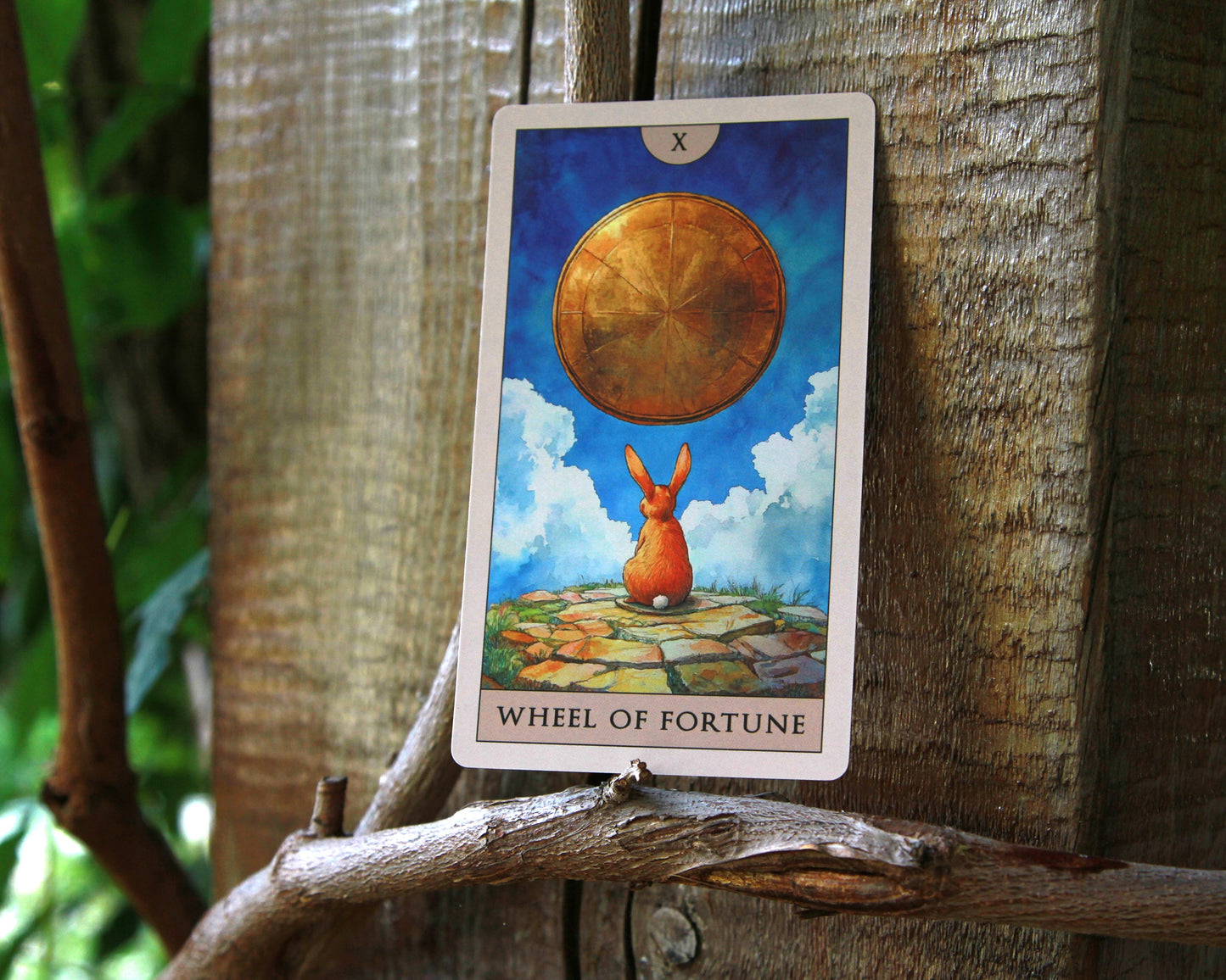 Rabbit Tarot