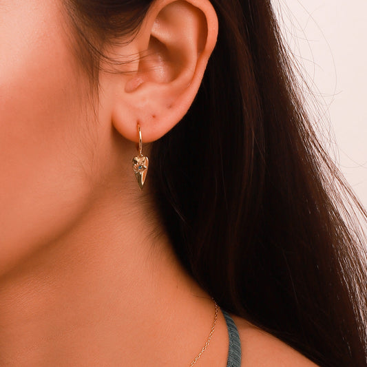 Blue Eyes Love Drop Hoops Earrings