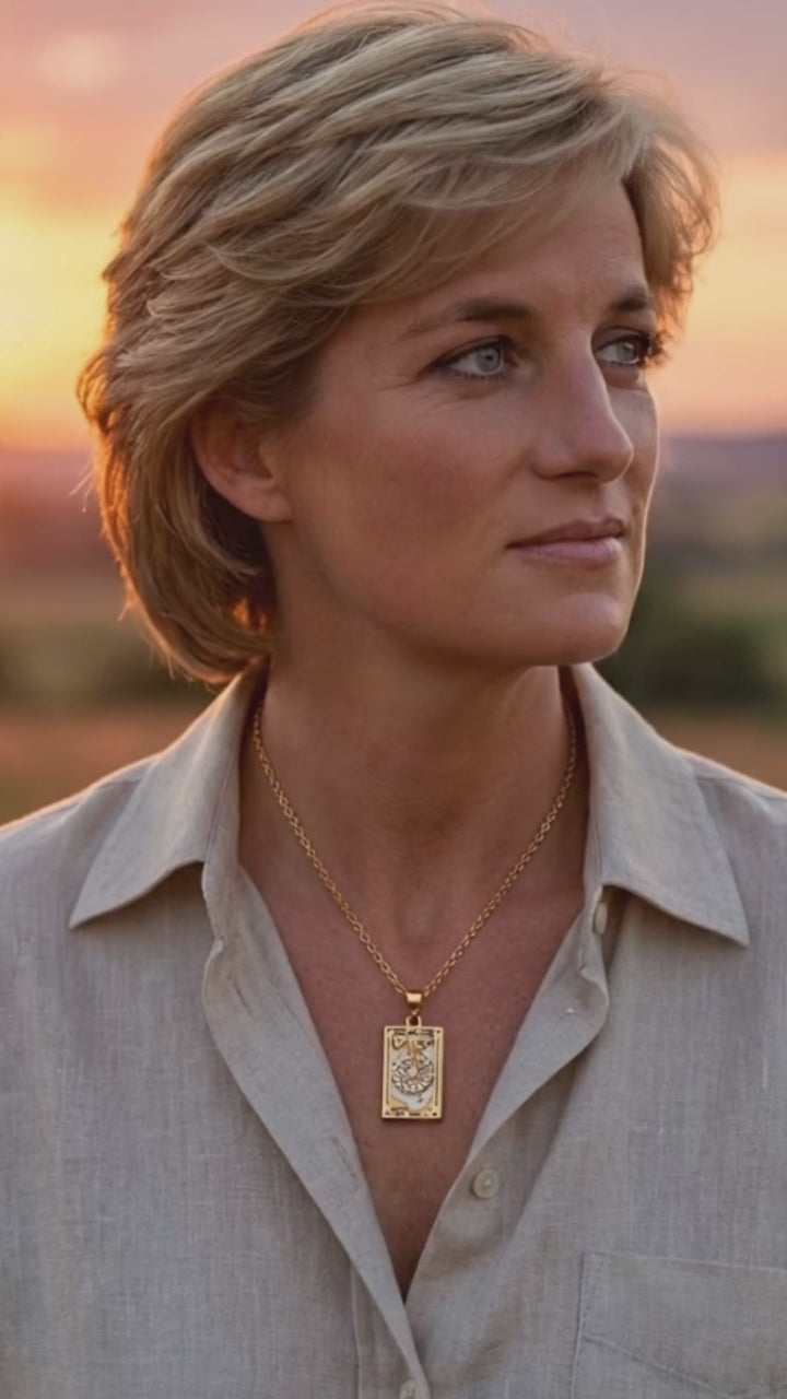 動画を読み込む: 